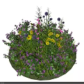 Vibrant Circular Garden With Mixed Flowers Yellow Purple Blooms And Green Leaves