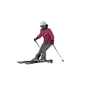 Premium Ski Equipment for Winter Skier with Pink Jacket and Skis