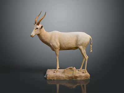 Detailed Antelope Taxidermy Display Standing on Stone Base Against Gray Background 3d model