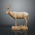 Detailed Antelope Taxidermy Display Standing on Stone Base Against Gray Background