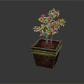 Vibrant Green Potted Plant with Lush Leaves in Square Reddish Brown Pot with Yellow Rim