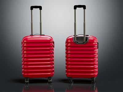 Modern luggage trolley case model