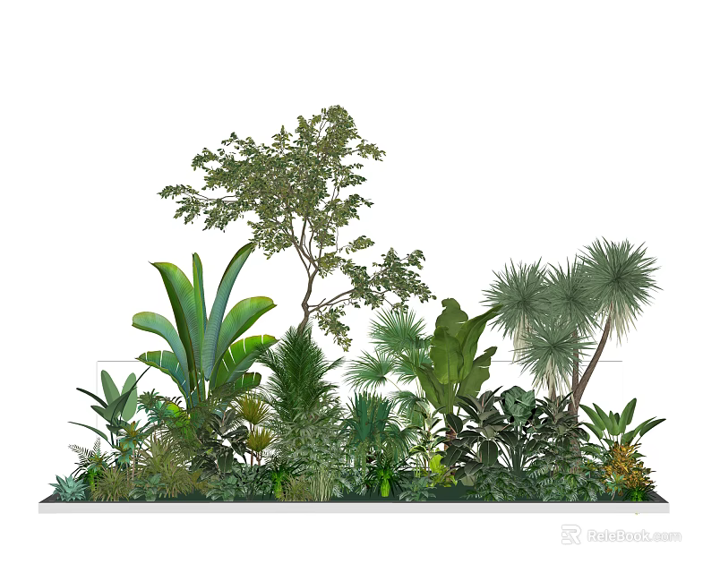 Varied Tropical Green Plants With Lush Foliage And Diverse Leaf Shapes 3d model 