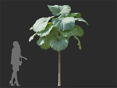 Large Leaf Arbor Tree with Green Foliage and Brown Trunk Near Person Silhouette 3d model