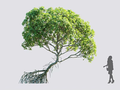 Lush Green Arbor With Exposed Roots And Person Silhouette On Gray Background 3d model