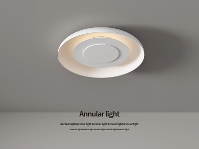 Modern Annular White Ceiling Light With Stylish Design For Home Interior Illumination 3d model