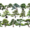 Various Arbor Trees With Different Shapes Green Foliage And Landscape Design 3d model