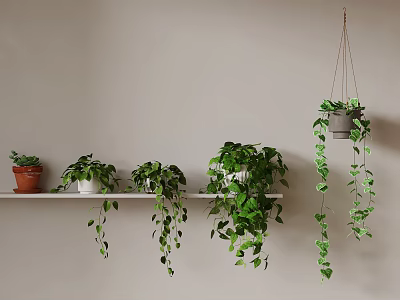 Indoor Green Plants Display On Wall Shelf With Hanging Potted Vines 3d model