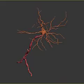 Advanced Medical Device For 3D Neuron Structure Visualization In Neuroscience Research 3d model