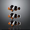 Three Clownfish With Orange And White Stripes On Simple Background 3d model