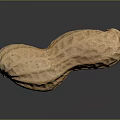 Healthy Natural Brown Shelled Raw Peanut With Textured Surface And Organic Shape