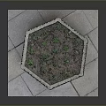 Green Plants Thriving in Hexagonal Stone Planter on Stone Slab Base