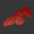 Brown Moth With Textured Spread Wings On Dark Gradient Background