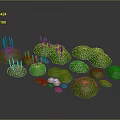 Lush Green Plants With Various Round Shapes And Grass Like Foliage Arranged On Ground