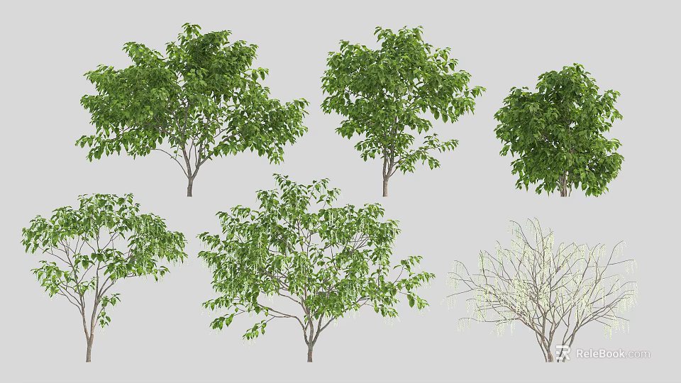 Diverse Arbor Trees With Various Leaf Shapes And Green Foliage 3d model