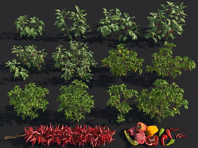 Crop Display Featuring Chili Plants String Of Red Chilies Sliced Fruits And Fresh Vegetables 3d model