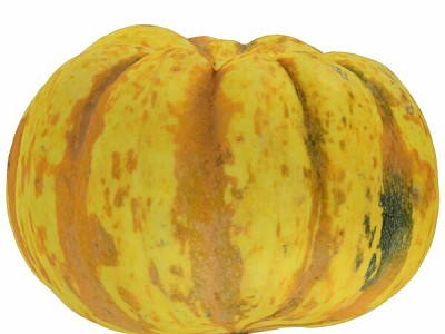 Pumpkin fruits and vegetables 3d model