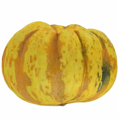 Fresh yellow and orange striped pumpkin with dark spots as healthy vegetable 3d model