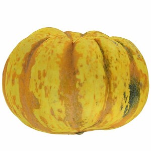 Pumpkin fruits and vegetables 3d model