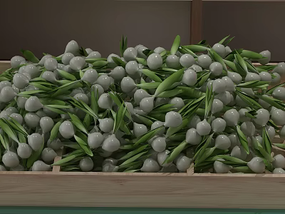 Commercial Wooden Grid Shelf For Displaying White Bulbous Items With Green Stems 3d model