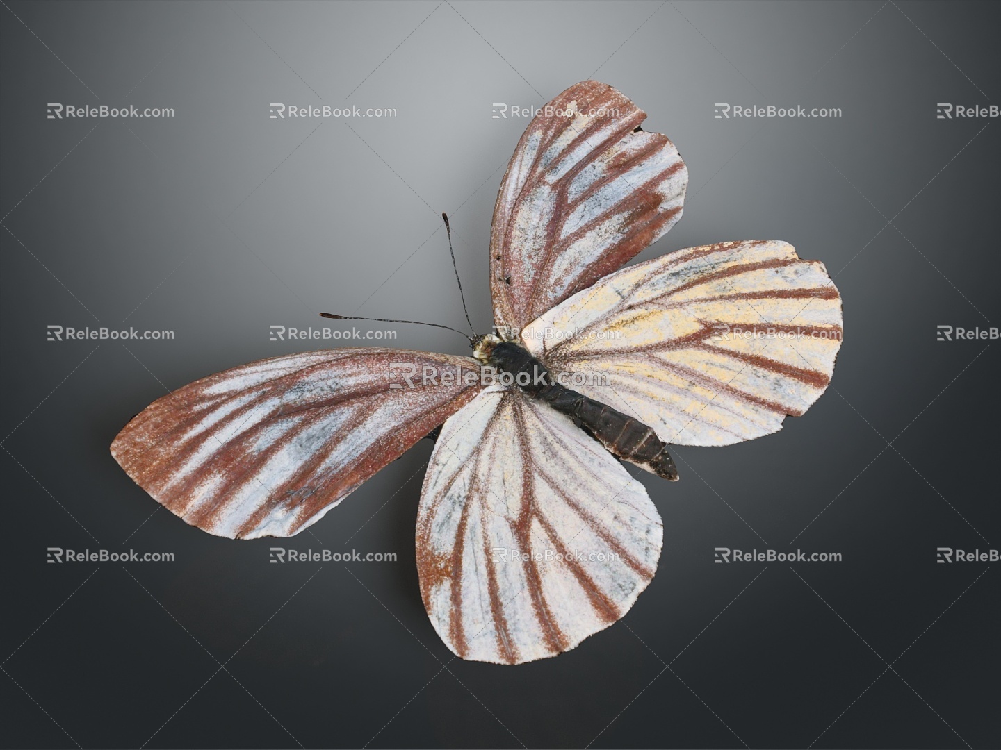 Modern Butterfly Colored Butterfly Tabby Butterfly Leaf Butterfly 3d model