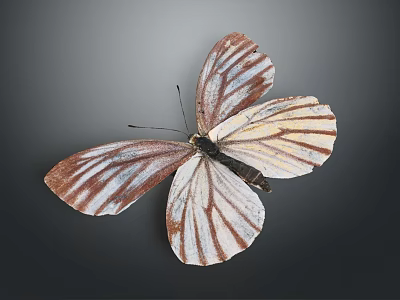 Detailed Brown And White Striped Butterfly With Spread Wings On Dark Background 3d model