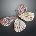 Detailed Brown And White Striped Butterfly With Spread Wings On Dark Background