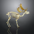 Elk Skeleton Model with Golden Antlers Displayed on Dark Reflective Background