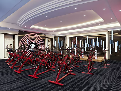 Modern Gym Spinning Gym 3d model