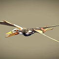 Ancient Pterosaur Flying With Spread Wings And Sharp Teeth Visible 3d model