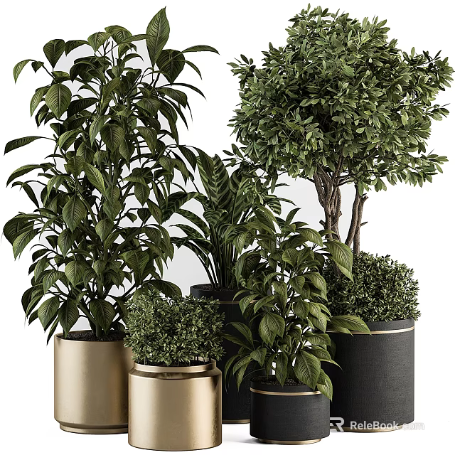 Bonsai Plants With Lush Green Foliage In Various Metallic And Black Pots For Home Decor 3d model 