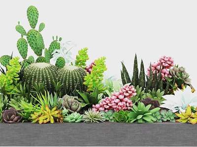 Colorful Succulent Plants With Various Types Cactus Pink Blooms And Green Leaves 3d model