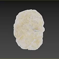Yellow Sponge Natural Marine Animal With Textured Surface In Underwater Habitat