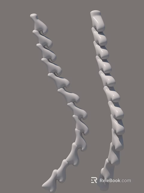 Anatomical 3D Model Of Human Limb Bones With Segmented Curved Structure Design 3d model 