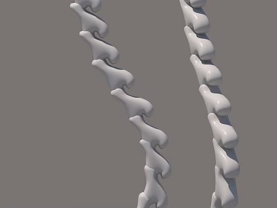 Anatomical 3D Model Of Human Limb Bones With Segmented Curved Structure Design 3d model