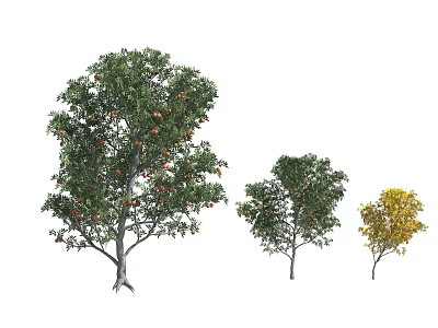 Three Arbor Trees In Various Sizes With Green Yellow Leaves And Red Fruits 3d model