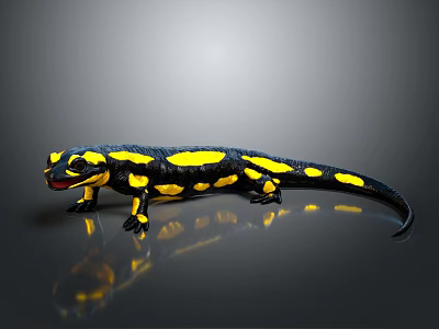 Fire Salamander with Black and Yellow Spots on Reflective Surface Against Gray Background 3d model