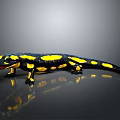 Fire Salamander with Black and Yellow Spots on Reflective Surface Against Gray Background 3d model