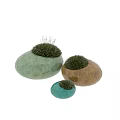 Grass Like Plants In Green Round Textured Vase For Modern Interior Decoration With Natural Light