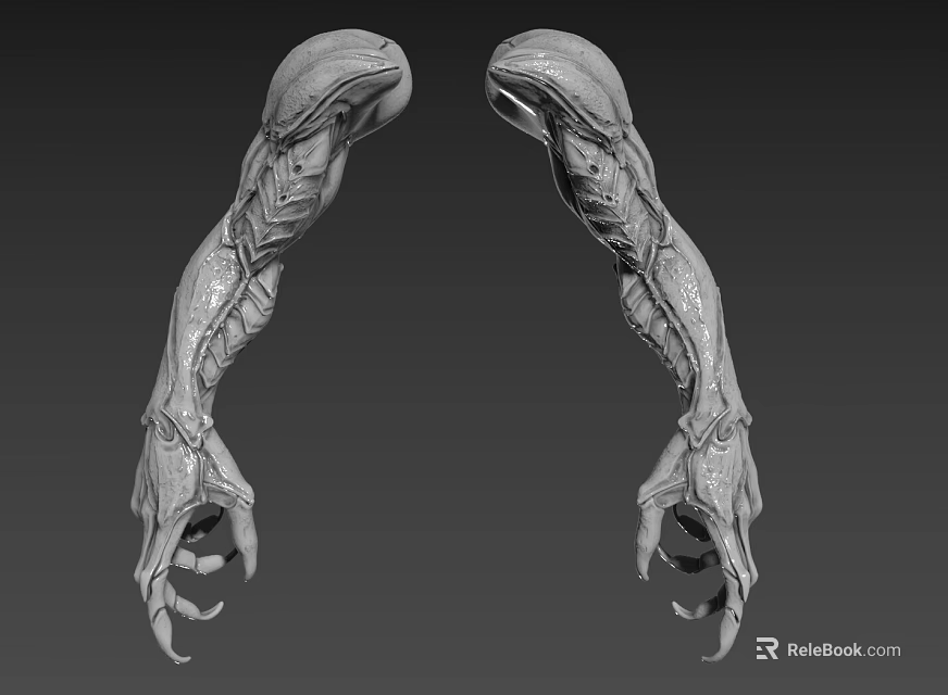 Creature Arm 3D Model For Character Design With Detailed Texture And Sharp Claws 3d model 