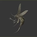 Detailed 3D Rendered Insect Model With Large Wings Slender Body And Antennae