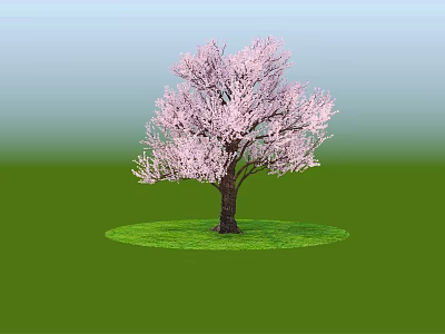 Tree Pit with Pink Flowering Tree and Green Grass in Outdoor Area 3d model