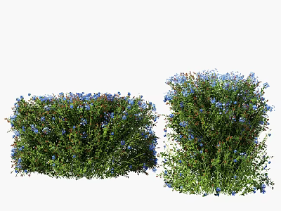 Lush Green Shrubs With Blue Flowers For Garden Landscaping And Decoration 3d model
