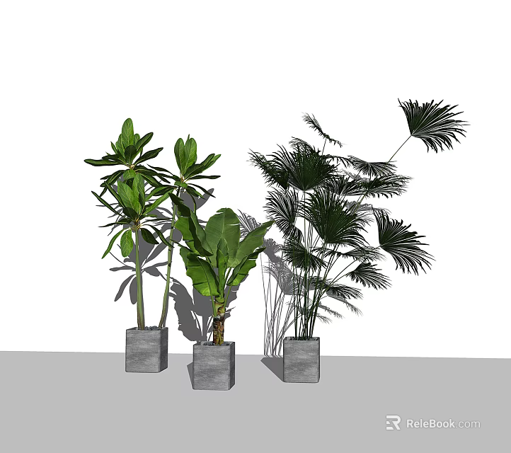 Modern Indoor Potted Plants With Various Green Leaves And Gray Square Pots 3d model 