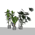 Modern Indoor Potted Plants With Various Green Leaves And Gray Square Pots