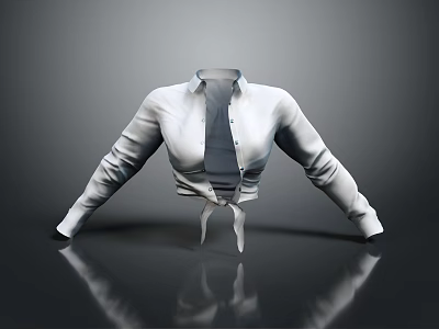 Stylish White Collared Long Sleeve Cropped Shirt With Tie Front Design 3d model