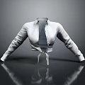 Stylish White Collared Long Sleeve Cropped Shirt With Tie Front Design