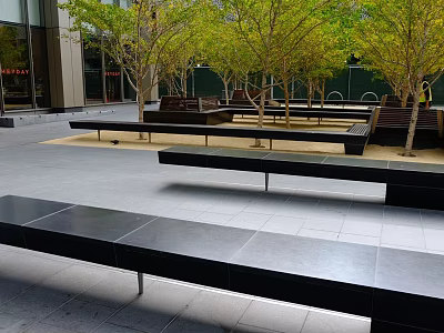 Modern Urban Garden Landscape Design With Trees Black Benches And Paved Area 3d model