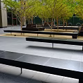 Modern Urban Garden Landscape Design With Trees Black Benches And Paved Area