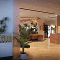Modern Restaurant Interior With Green Plants Wooden Tables And Warm Lighting
